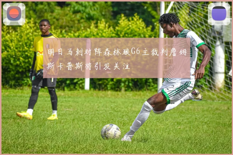 明日马刺对阵森林狼G6主裁判詹姆斯卡普斯将引发关注