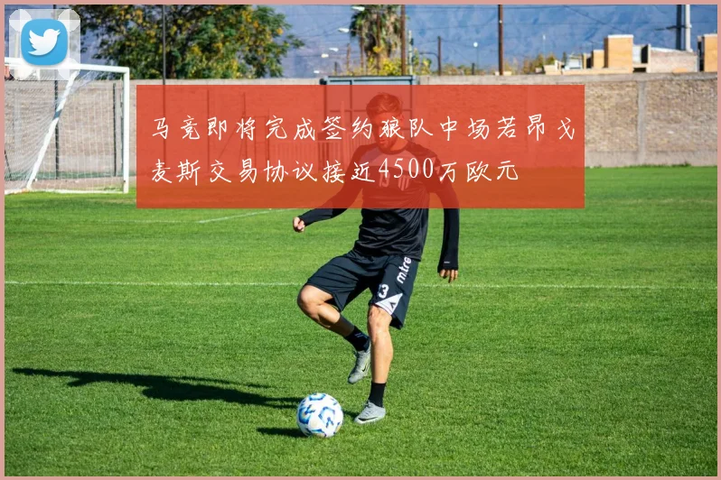 马竞即将完成签约狼队中场若昂戈麦斯交易协议接近4500万欧元